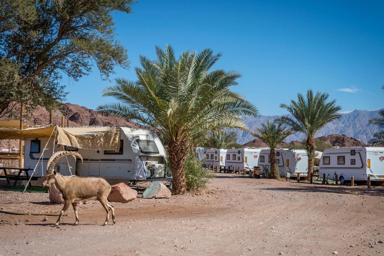 Park Timna Hotel Eilat Eksteriør billede